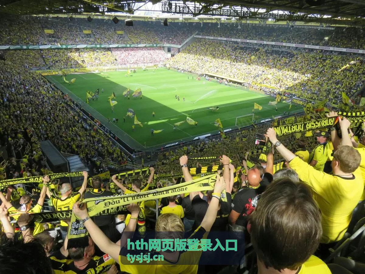 hth网页版登录入口账号访问步骤演示